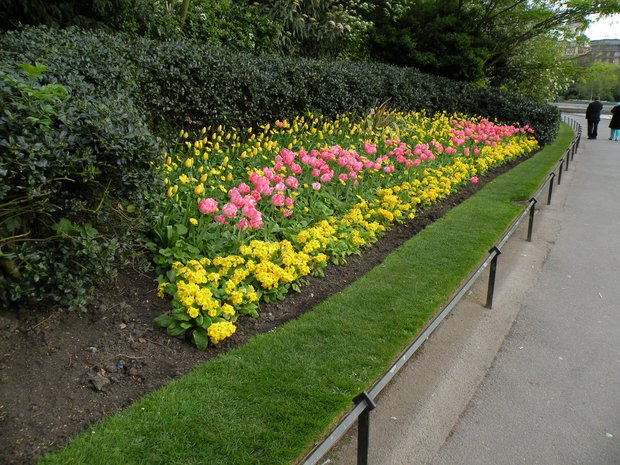  massif de fleurs bien entretenu, Regent's Park
